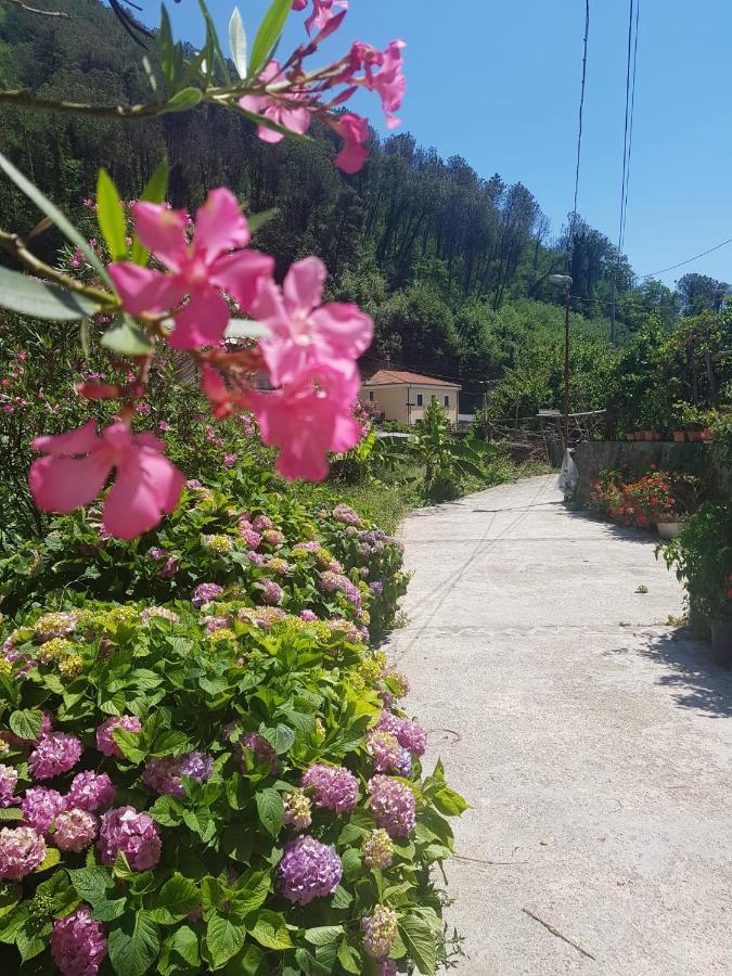 Casa Nonna Anna Villa Maiori Exterior photo